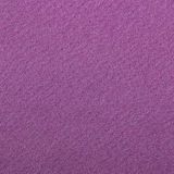 Clairefontaine 93876C Etival Color papier, 25 vellen, tekenpapier met paarse korreling, A4, 21 x 29,7 cm, 160 g, ideaal voor tekenen en creatieve activiteiten