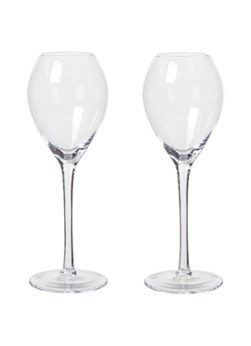 Sagaform Saga champagneglas 20 cl set van 2