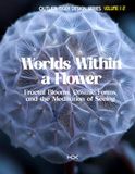 Worlds Within a Flower: Fractal Blooms, Cosmic Forms, and the Meditation of Seeing