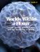 Worlds Within a Flower: Fractal Blooms, Cosmic Forms, and the Meditation of Seeing