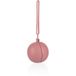 Zopa Silicone Pacifier Case