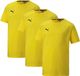Puma teamGOAL Shirt Junior (3-pack) - Maat 140