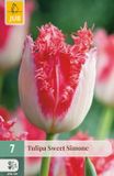 Jub Tulipa Sweet Simone bloembol JUB 7 stuks
