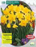 Baltus Narcis Geel per 100