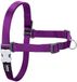Red Dingo Harnais Chien 50-70 cm Violet M