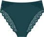 Triumph Red Label Amourette Slip