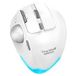 Souris trackball sans fil F-33 - 5 niveaux de DPI - Blanche