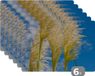 KitchenYeah Placemat - 6-Pack - 45x30 cm - Heat Resistant - Anti-Slip - Pampas Grass