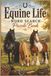 Equine Life Word Search Puzzle Book