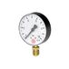 Riegler 7303 manometer standaard, kunststof handgreep, G 1/2 onder, -1/+1,5 bar, Ø 100