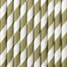 PartyDeco Drinkrietjes Gestreept - Papier - Groen/Wit - 10 Stuks - 19 cm