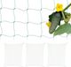 Merkloos / Sans marque Relaxdays Klimnet voor planten, set van 4, 200x250 cm