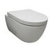Sanilux Geberit UP100 Toiletset set31 Sanilux Easy Flush Randloos 48cm compact met Delta drukplaat