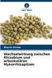 Wechselwirkung Verlag Unser Wissen Wechselwirkung zwischen Rhizobium und arbuskulären Mykorrhizapilzen