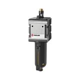 RIEGLER L 45 M-SR Mistolie