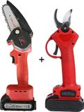 Vixson 2-in-1 Elektrische Snoeischaar & Mini Kettingzaag