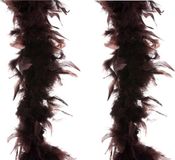 Sans marque 2x pièces carnaval déguisement plumes boa couleur marron 2 mètres