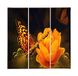 Homemania Wandfoto, Butterfly, 3 delen, dieren, woonkamer, kinderkamer, meerkleurig, 69 x 3 x 50 cm, HM203PKNV-20, polyester, hout