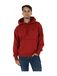 VANS Sweatshirt bordeaux