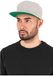 Flexfit Classic Snapback Cap