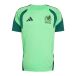 Adidas Maillot Entraînement Mexique 26 Tiro Homme Vert - Coupe du Monde 2026 FIFA - S