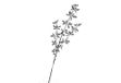 F.G.F. Import Export BRILLER tak met zilver 57 cm 04707