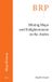 Mining Brill Research Perspectives in Map History- Mining Maps and Enlightenment in the Andes