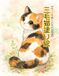 三毛猫塗り絵: ほっこり癒しの大人時間