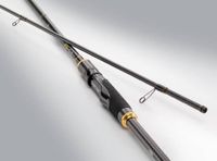 Hearty Rise Innovation 2.51 m 10-40 gr 832XH Roofvishengel