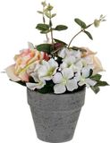 Merkloos DKD Home Decor Decoratieve plant Polyethyleen Ijzer Roze/Grijs/Groen/Wit