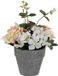 Merkloos DKD Home Decor Decoratieve plant Polyethyleen Ijzer Roze/Grijs/Groen/Wit