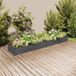 Maison Exclusive - Jardinière surélevée avec bac intégré, gris, 240x45x25 cm, en bois massif de sapin