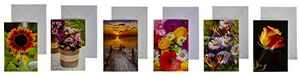 TSI 72513 wenskaartenset 12 stuks, 6 verschillende designs