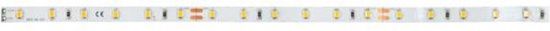 Brumberg 38202004 lichtstrip Universeel strooklicht Binnen LED 48 W E 5000 mm