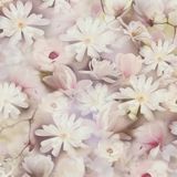 A.S. Création MAGNOLIA BEHANG | Bloemen - roze wit geel