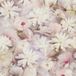A.S. Création MAGNOLIA BEHANG | Bloemen - roze wit geel
