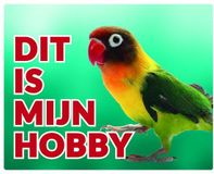 Stickerkoning Agapornis panneau d'avertissement - C'est mon hobby