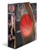 HERMA A4 hendelboogvijl basketbal, pak van 5, 70 mm rug, zware map met sportmotief, glanzende afwerking en binnenprint, kinderringband, archiveringsmap en opbergmap
