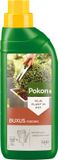 Pokon Buxus Voeding - 500ml