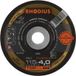 Rhodius 207827 FS1 FUSION Afbraamschijf Diameter 115 mm RVS, Staal 10 stuk(s)