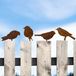Décoration d'oiseau, aspect rouille - Décoration de jardin - Support d'oiseau - Décoration murale extérieure - Figurines de clôture - Fer durable - Lot de 4