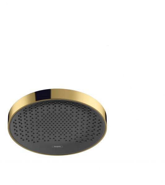 Hansgrohe Plafond Douche Rainfinity 360 1 straal - Metaal - 4059625264881