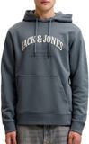 JACK & JONES JJEDENVER LOGO SWEAT HOOD SN Heren Trui