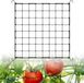 Bol Scrog Net 80 x 80 cm - Vert