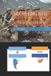 SOUTHERN Independently Published Alternate History Books- Southern Axis Paperback