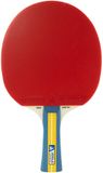 Joola Team Master Tafeltennisbat