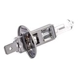SPAHN ampoule à incandescence "h1" headlight bulb 12v 55w h1 50+ p14.5s