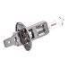 SPAHN ampoule à incandescence "h1" headlight bulb 12v 55w h1 50+ p14.5s