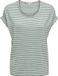 ONLY CARMAKOMA CARMOSTER STRIPE S/S O-NECK TOP JRS NOOS - Meisjes - T-shirts