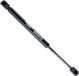 EINPARTS EP9164GS gasveer voor achterklep, geschikt voor NISSAN PRIMERA (P11), lengte 315mm